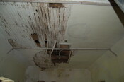 ICK14-DSC_0057_2.JPG