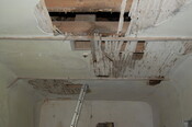 ICK15-DSC_0054_2.JPG