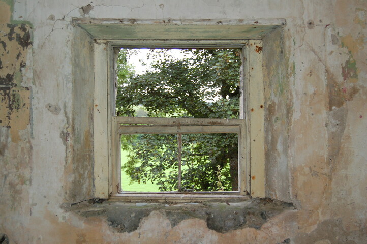 ICK31-DSC_0084_2.JPG