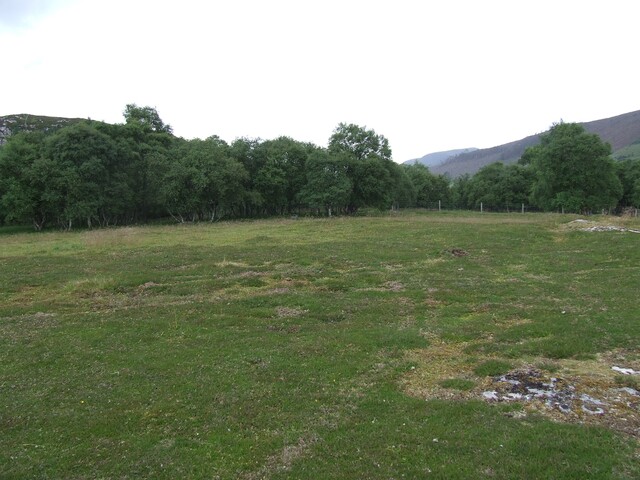 SHG24959_3.JPG