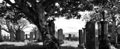 _DSC5962.jpg