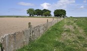 _DSC5964.jpg