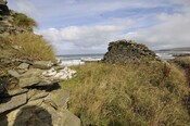 _DSC6421.jpg