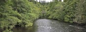 _DSC6060.jpg
