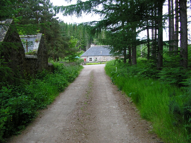 June 24 2010 001.jpg