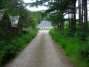 June 24 2010 001.jpg