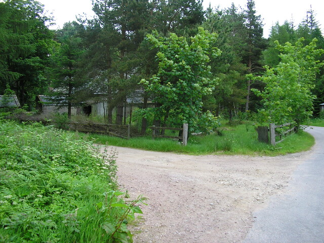 June 24 2010 003.jpg