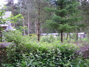 June 24 2010 004.jpg