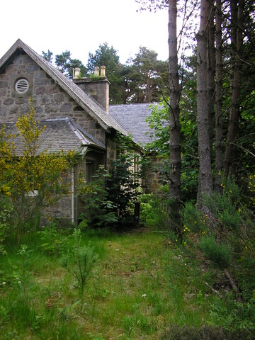 June 24 2010 008.jpg
