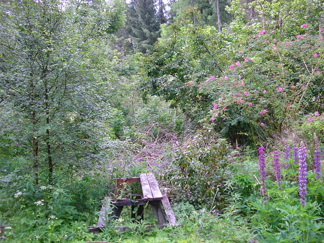 June 24 2010 010.jpg