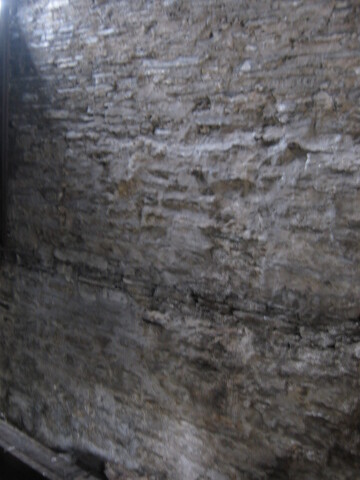 SHG24976_69 (12).JPG