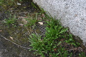 160_6069.JPG