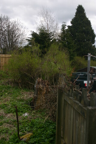 160_6072.JPG