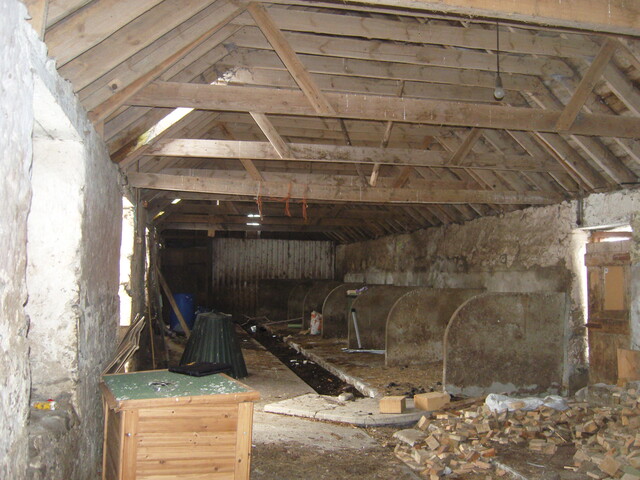 SNV82646.JPG