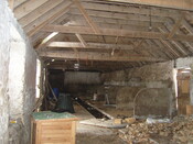SNV82646.JPG