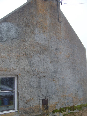 SNV82663.JPG