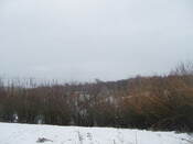 SNV82664.JPG