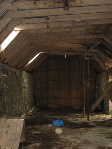SNV82679.JPG