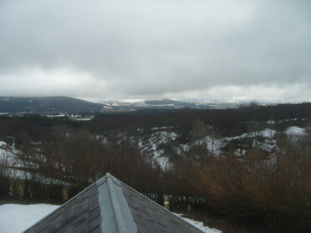 SNV82698.JPG