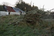 IMG_5713.jpg