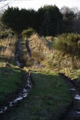 IMG_5718.jpg