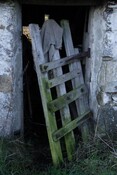 IMG_5720.jpg