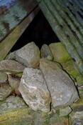 IMG_5725.jpg