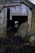 IMG_5736.jpg