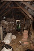 IMG_5739.jpg