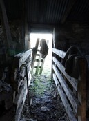 IMG_5776.jpg