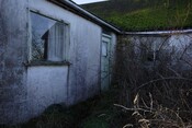 IMG_5783.jpg