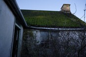 IMG_5784.jpg