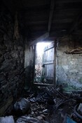 IMG_5831.jpg