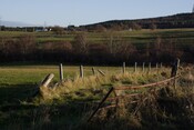 IMG_5860.jpg