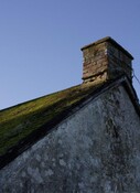IMG_5862.jpg