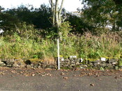 High Road East (13).JPG