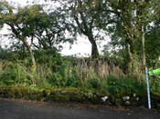 High Road East (7).JPG