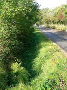 High Road West (2).JPG