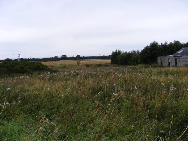 SHG24983 (1).jpg