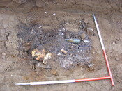SHG24983 (10).jpg
