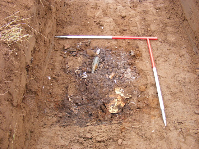 SHG24983 (11).jpg