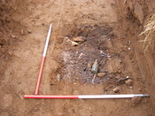 SHG24983 (12).jpg