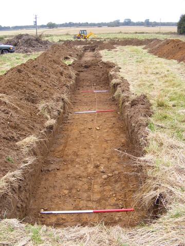 SHG24983 (13).jpg