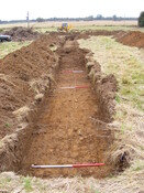 SHG24983 (13).jpg