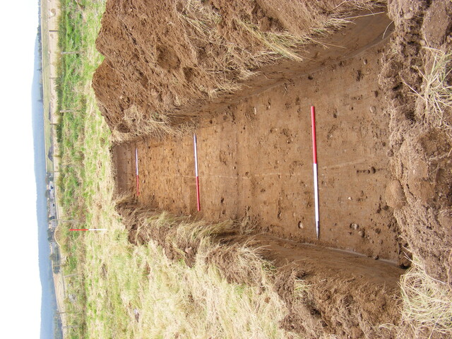 SHG24983 (15).jpg