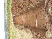 SHG24983 (15).jpg