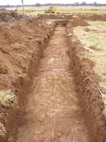 SHG24983 (17).jpg