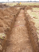 SHG24983 (17).jpg