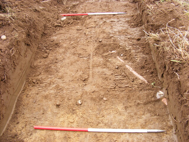 SHG24983 (19).jpg