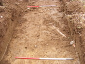SHG24983 (19).jpg